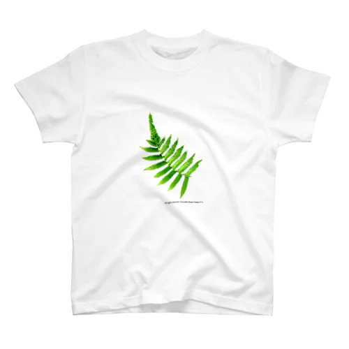 Fern スタンダードTシャツ