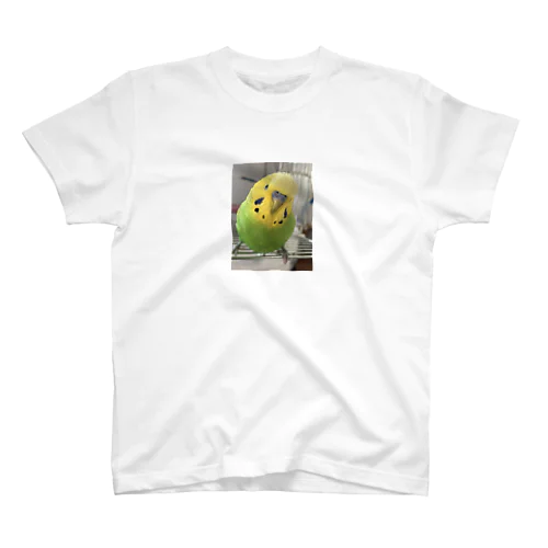 セキセイインコ1 Regular Fit T-Shirt