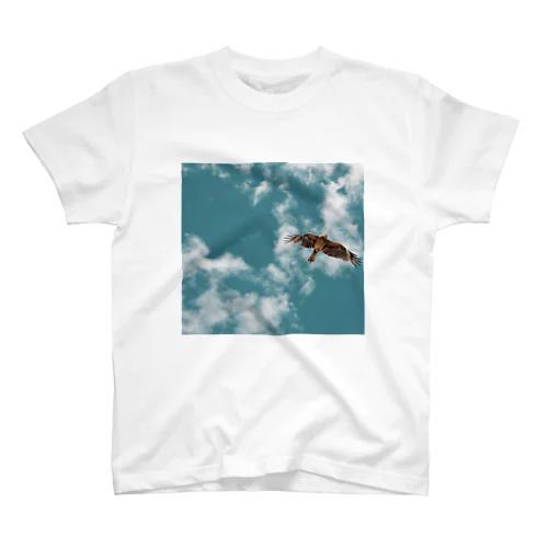 Black kite Regular Fit T-Shirt