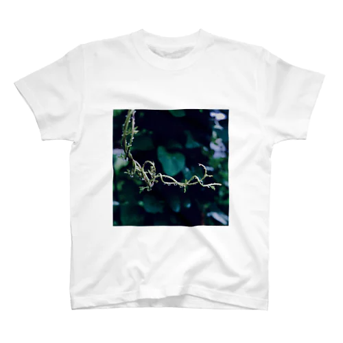 Vine plant  スタンダードTシャツ