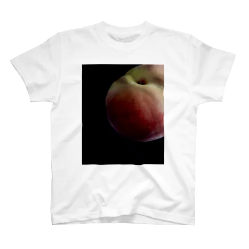 Peach 2 Regular Fit T-Shirt