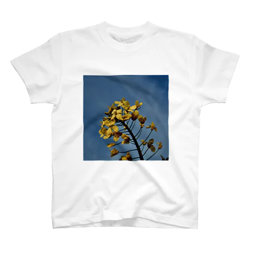 Rape flower  スタンダードTシャツ