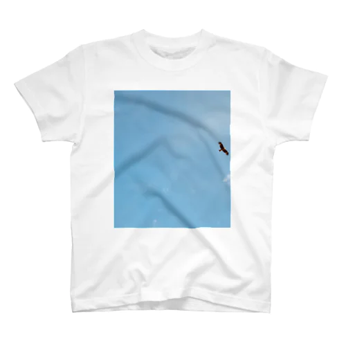 Sky 2 Regular Fit T-Shirt