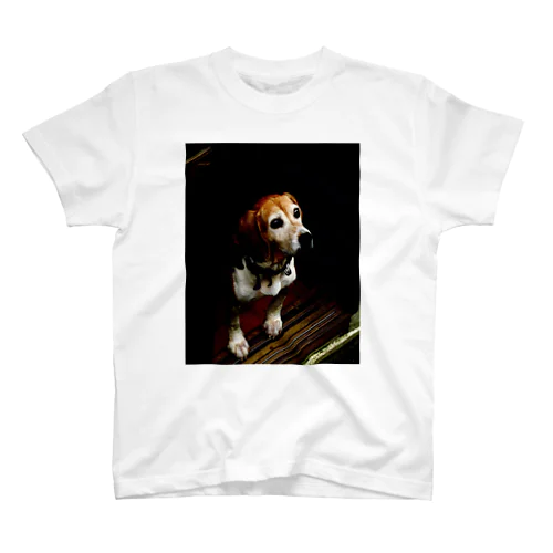 Dog Regular Fit T-Shirt