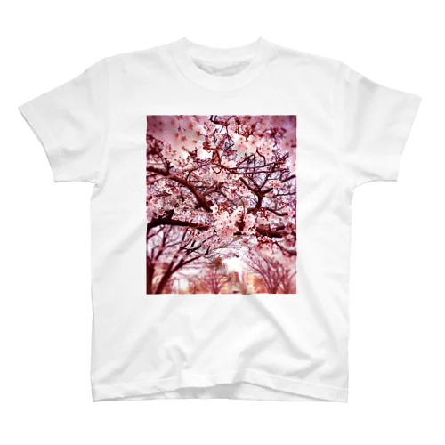 2021桜 スタンダードTシャツ