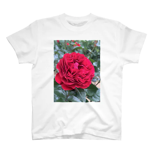 与野本町の薔薇 Regular Fit T-Shirt