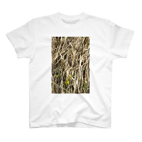 Weed-01 Regular Fit T-Shirt