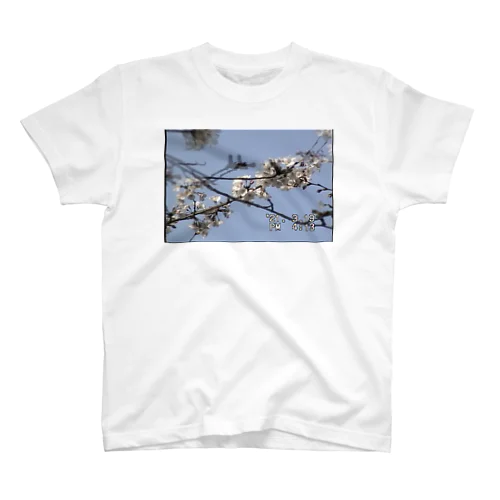 miniDVテープ「桜」 スタンダードTシャツ