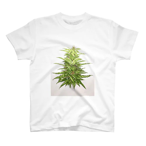 chill time Regular Fit T-Shirt