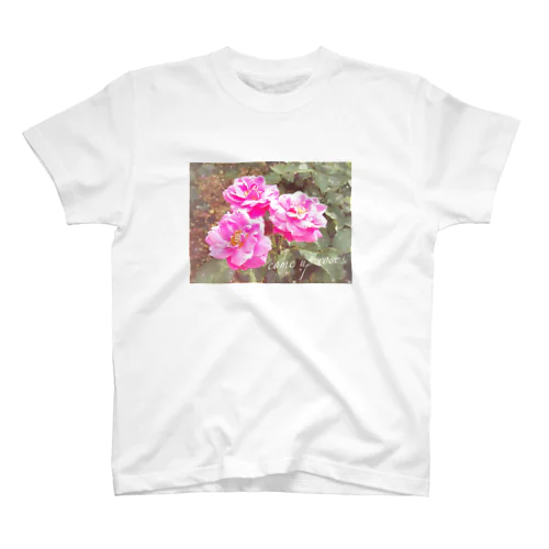 pink Rose スタンダードTシャツ