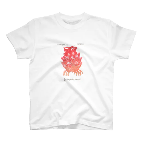 ホヤ スタンダードTシャツ