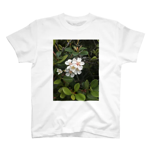 公園の花 Regular Fit T-Shirt