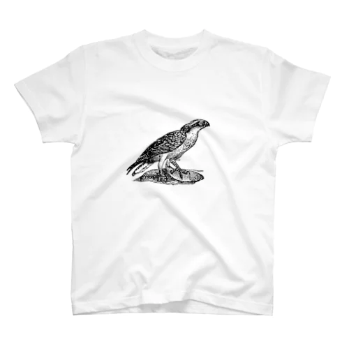 鳥T Regular Fit T-Shirt