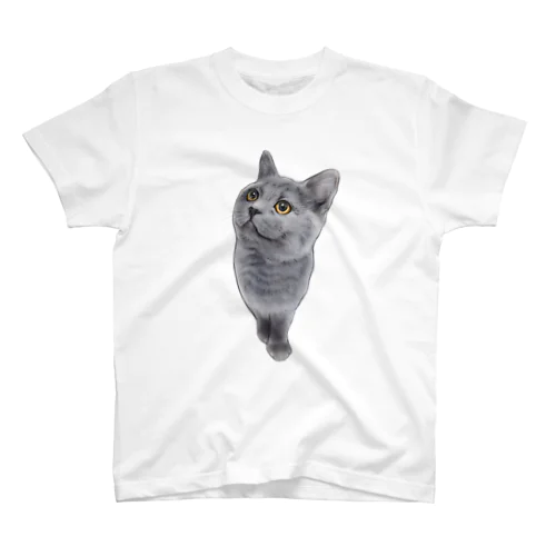 子猫様ブリティッシュ スタンダードTシャツ
