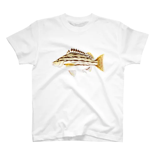 【魚類】シマイサキちゃん☆縞鶏魚 スタンダードTシャツ