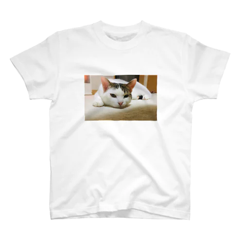 シキ・シリーズ Regular Fit T-Shirt