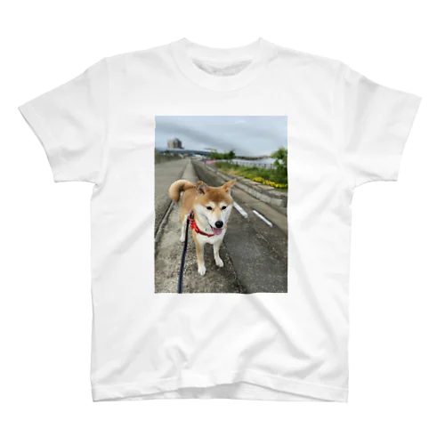 お散歩犬 スタンダードTシャツ