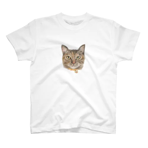 リアルな猫ちゃんシリーズ スタンダードTシャツ