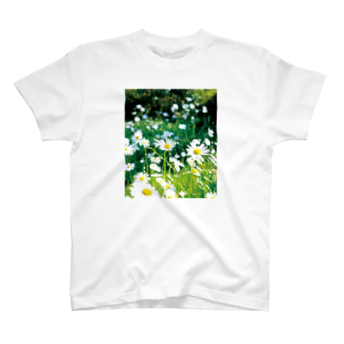 癒しの風景（シャスタデイジー） Regular Fit T-Shirt