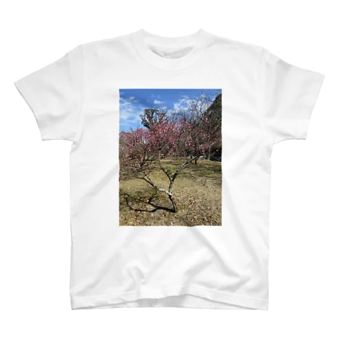 梅の花 スタンダードTシャツ