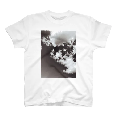 Cloudy_mono Regular Fit T-Shirt