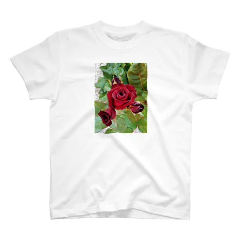 薔薇が咲いた～薔薇が咲いた～真っ赤な薔薇が～♩ Regular Fit T-Shirt