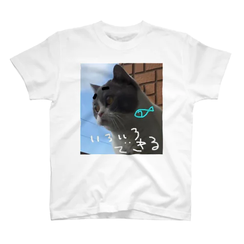 いろいろできる🐟️ Regular Fit T-Shirt