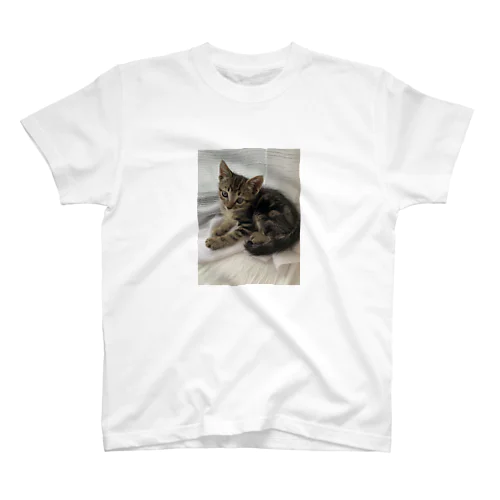 猫のらむくん02 スタンダードTシャツ