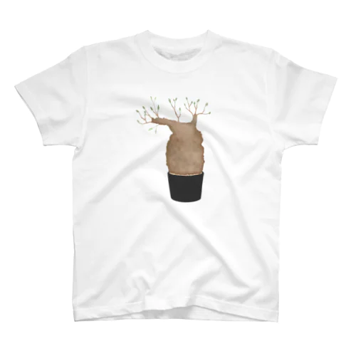 オペルクリカリア・パキプス Regular Fit T-Shirt