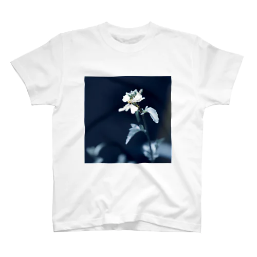 ルッコラの花 Regular Fit T-Shirt