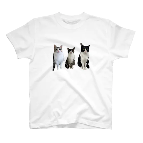 大豆3姉弟猫　 Regular Fit T-Shirt