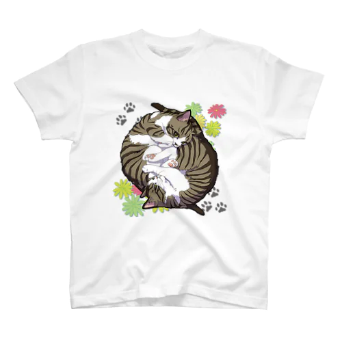 くるくる猫たち（背景無） スタンダードTシャツ