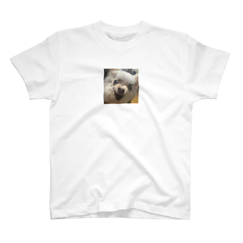 狂犬さくら スタンダードTシャツ