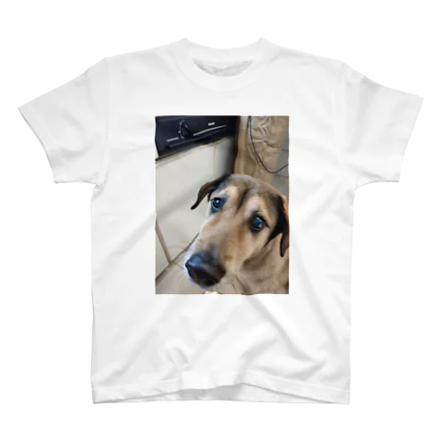 犬 スタンダードTシャツ
