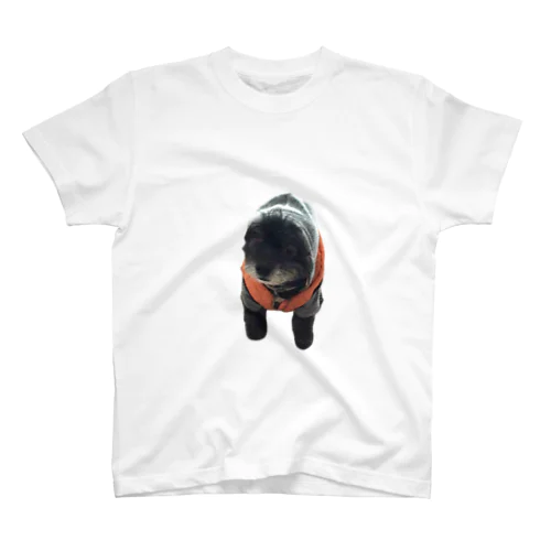 ちゃっかりやさしい犬 Regular Fit T-Shirt