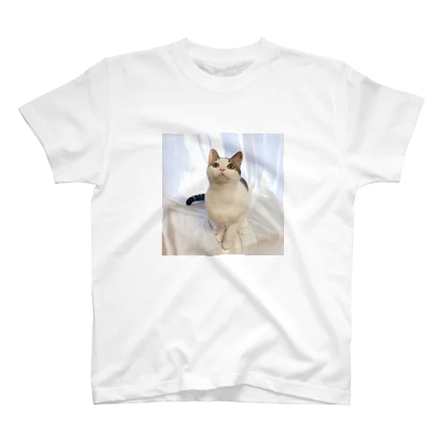 子猫のテオ スタンダードTシャツ