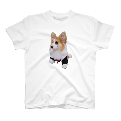 おもちTそのいち スタンダードTシャツ