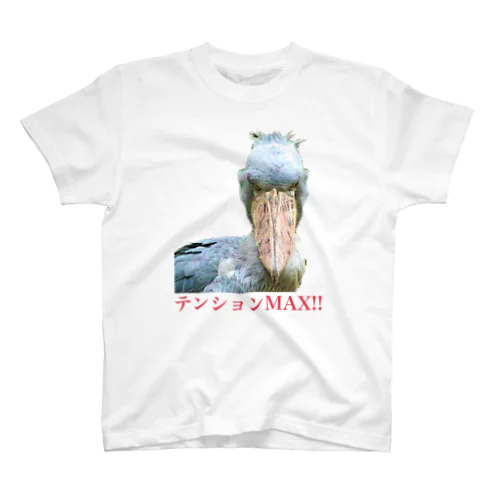 実は…Tシャツ スタンダードTシャツ