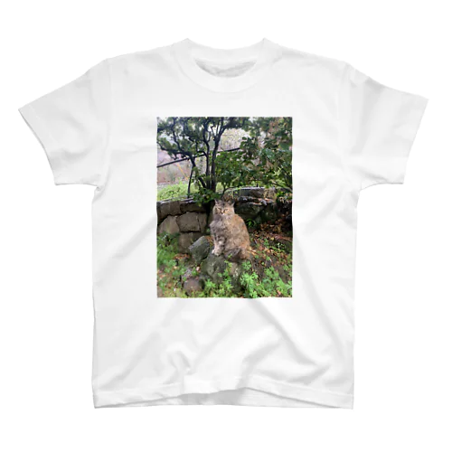尾道の猫ちゃん Regular Fit T-Shirt