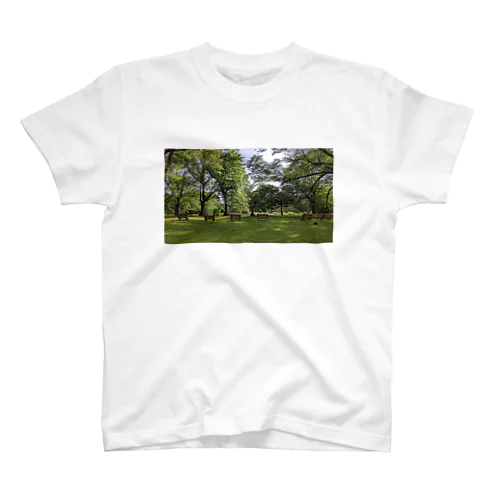 GREEN PARK Regular Fit T-Shirt