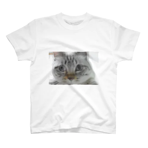 猫・ぶれぶれ スタンダードTシャツ