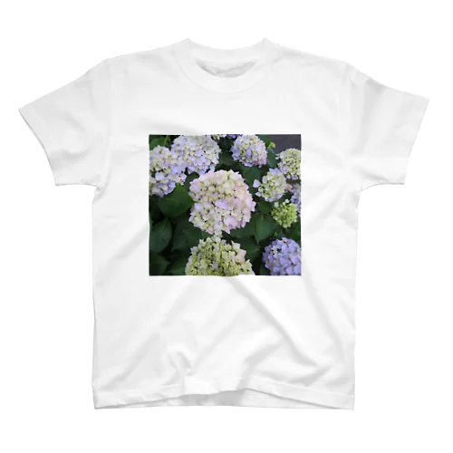 紫陽花 スタンダードTシャツ