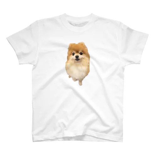 ちっちゃくお手するもーちゃん スタンダードTシャツ