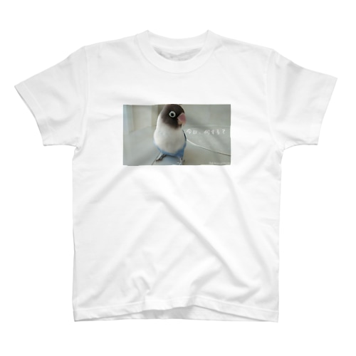 迷いボタンインコの新月さん Regular Fit T-Shirt