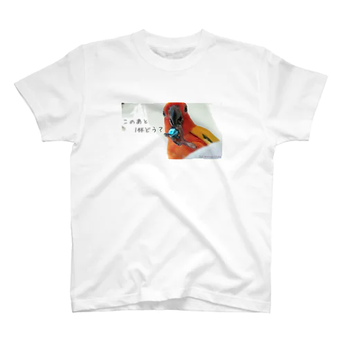 コガネメキシコインコのトトさん スタンダードTシャツ