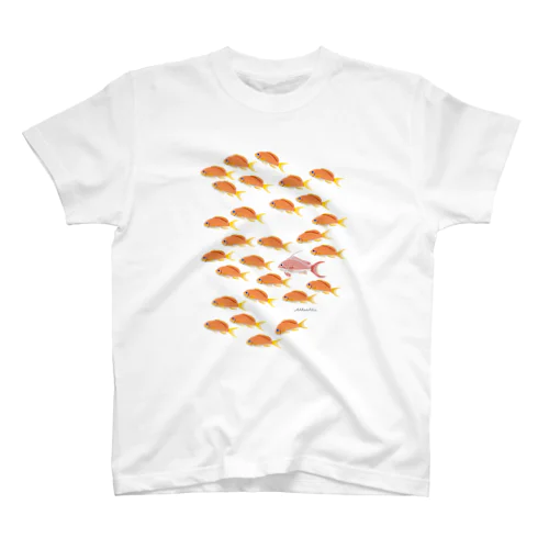 魚の群れ キンギョハナダイ スタンダードTシャツ