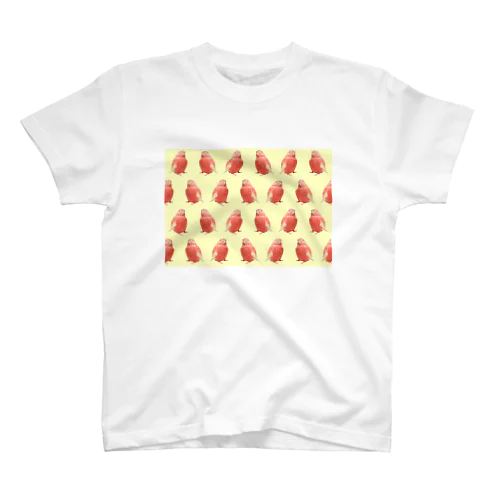 アキクサインコのチャム（チャムがいっぱいイエロー） スタンダードTシャツ