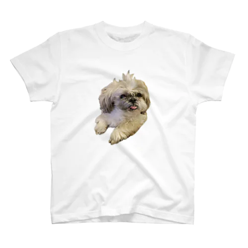 実家の犬（寝起き） スタンダードTシャツ