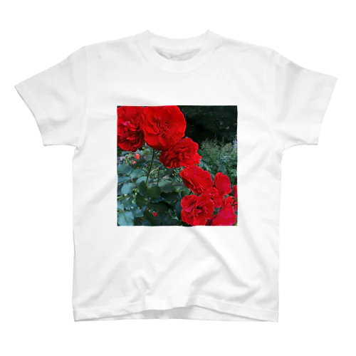 薔薇のお花 深紅 スタンダードTシャツ