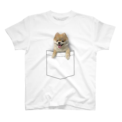 ポケットからタヌ スタンダードTシャツ